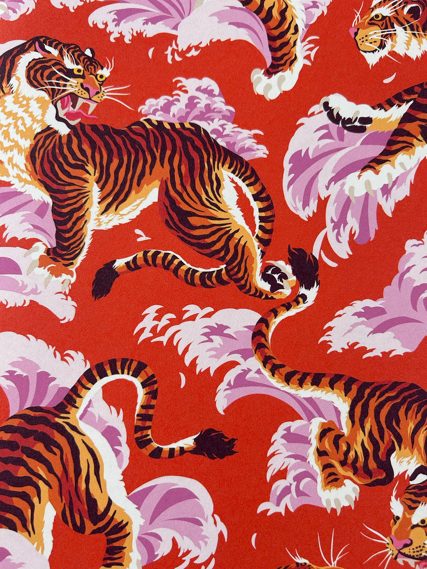 Easy Tiger Flame Wallpaper