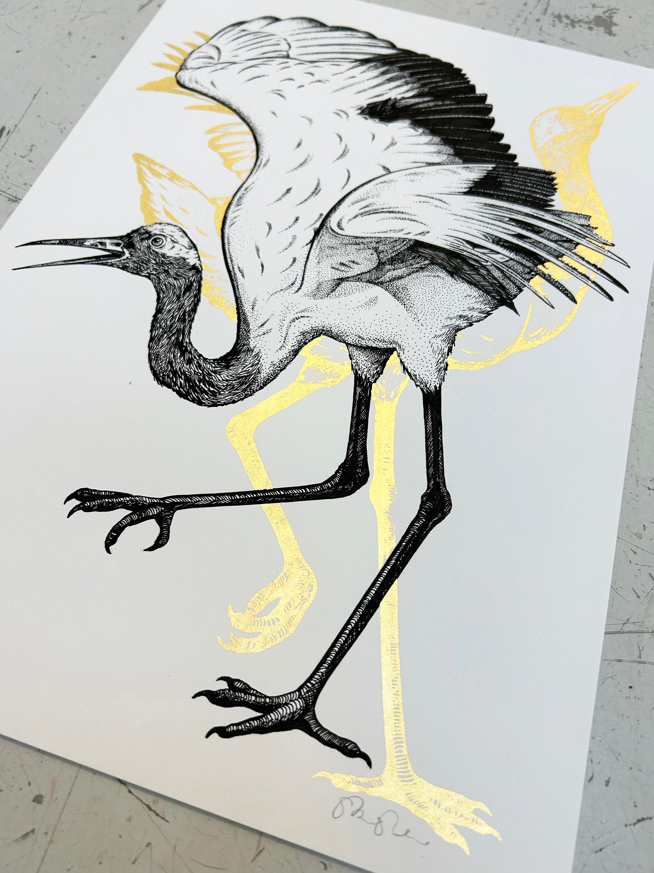 WHOOPING CRANE - ORIGINAL DRAWING